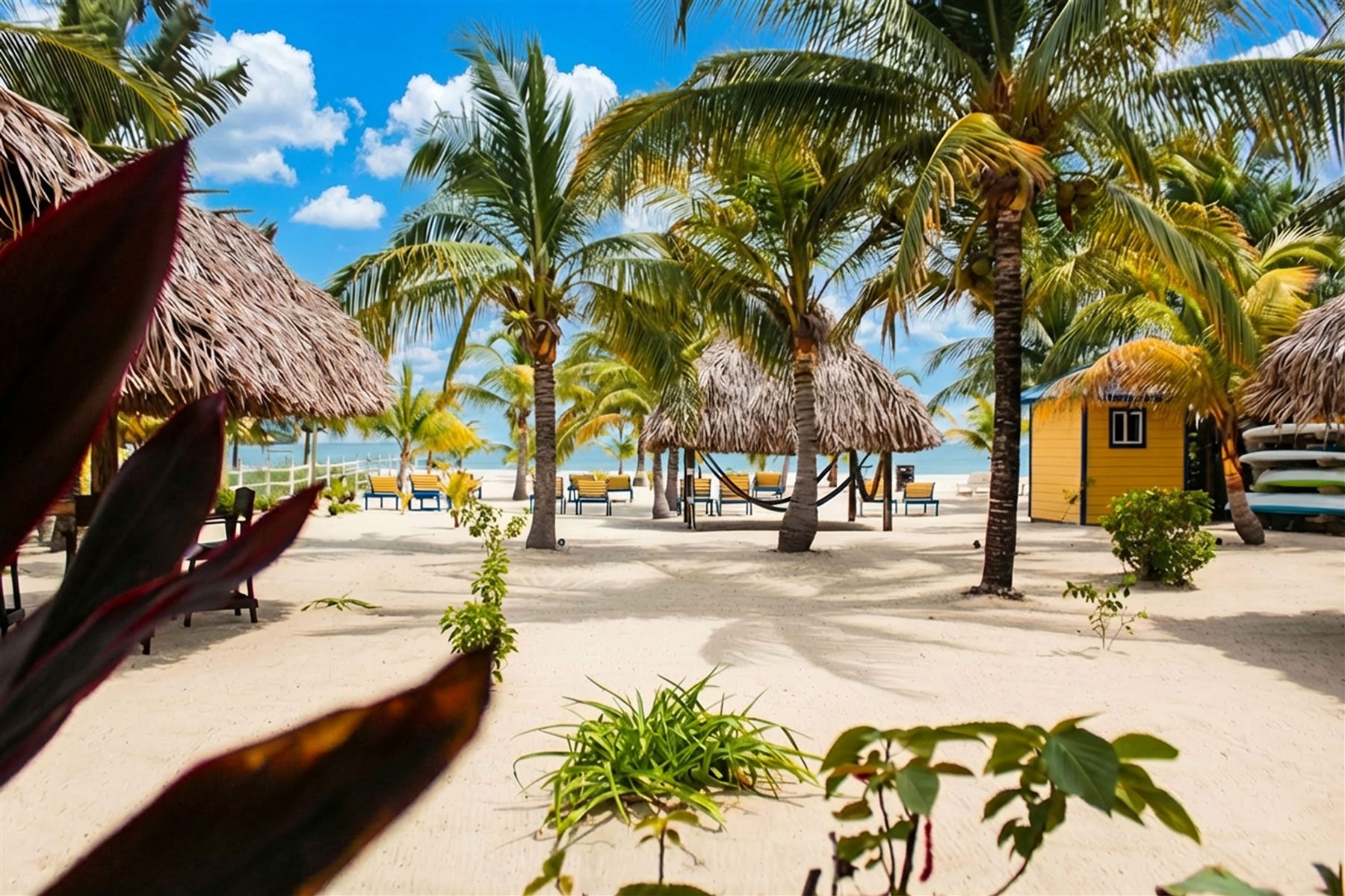 Palm-shaded beach and palapas at Casa Palma